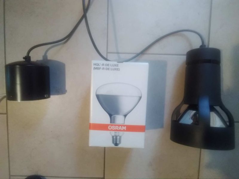 Osram Floraset mit HQL-R 80 W DE LUXE