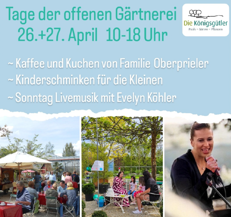 Top-Termin Bild