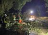 Quelle: Freiwillige Feuerwehr Freising / Ein umgestürzter Baum blockiert die Giggenhauser Straße und wird von der Feuerwehr beseitigt.