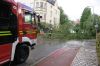 Ein umgestürzter Baum blockiert die Haydstraße und wird von der Feuerwehr beseitigt.