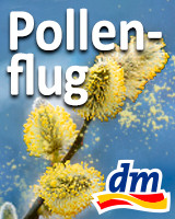 Pollenflug Teaser